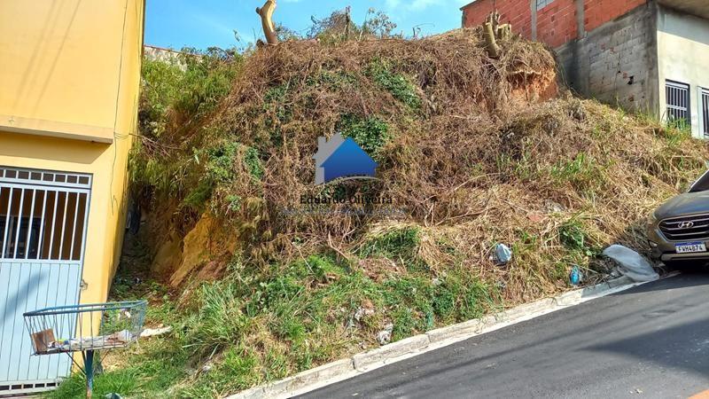 imagem-miniatura